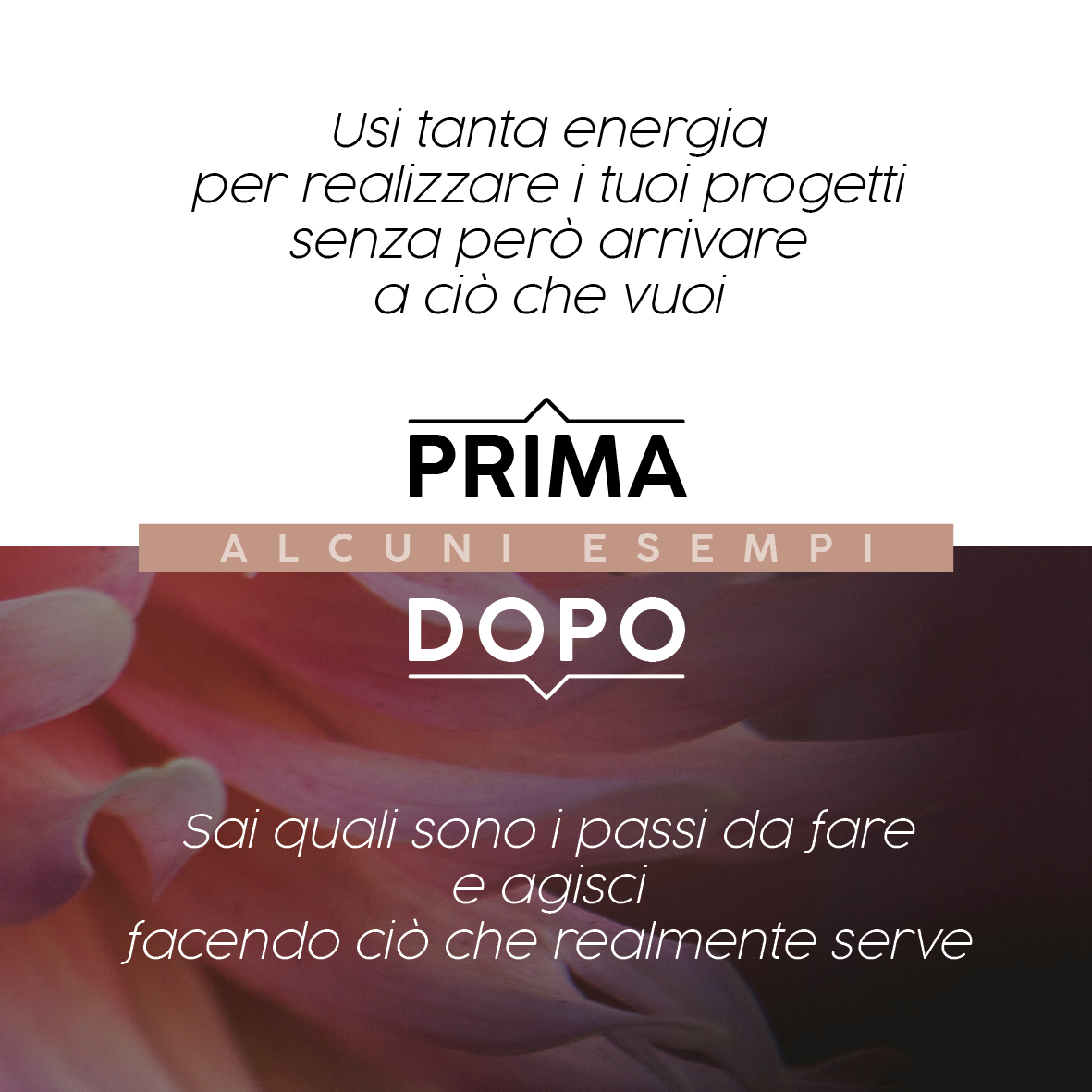 Donne che hanno fiducia in sé, autostima, coraggio e che sanno quali passi compiere per realizzare i loro progetti